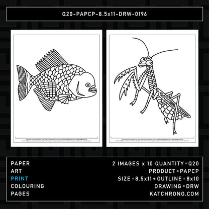 Q20-PAPCP-8.5x11-DRW-0196