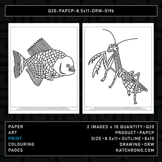 Q20-PAPCP-8.5x11-DRW-0196