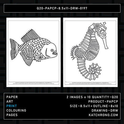 Q20-PAPCP-8.5x11-DRW-0197