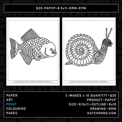Q20-PAPCP-8.5x11-DRW-0198