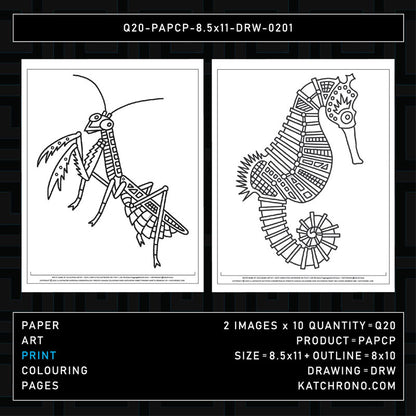 Q20-PAPCP-8.5x11-DRW-0201