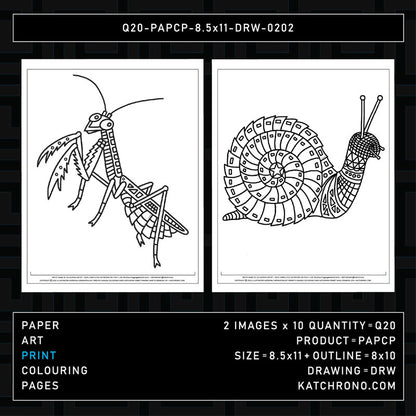 Q20-PAPCP-8.5x11-DRW-0202