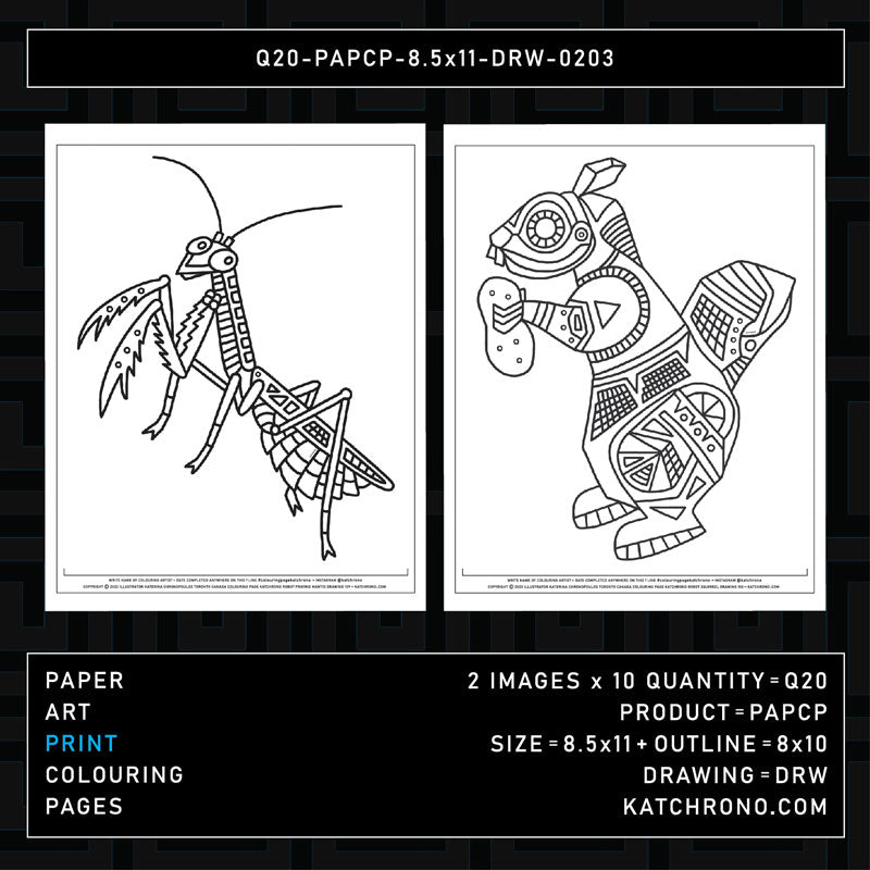 Q20-PAPCP-8.5x11-DRW-0203