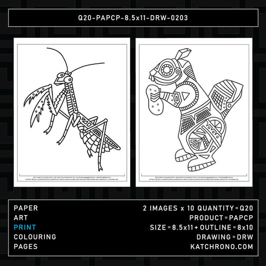 Q20-PAPCP-8.5x11-DRW-0203