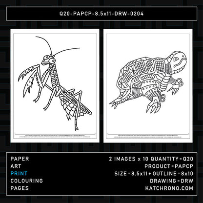 Q20-PAPCP-8.5x11-DRW-0204