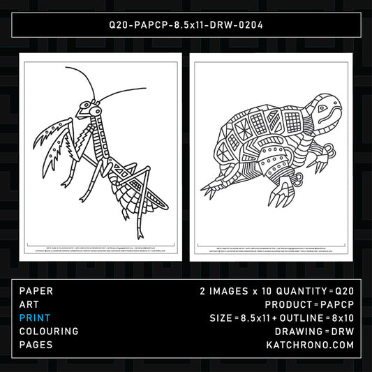 Q20-PAPCP-8.5x11-DRW-0204