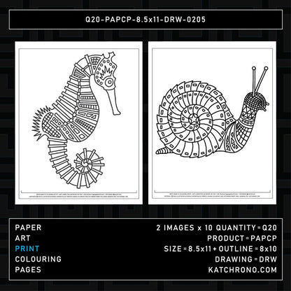 Q20-PAPCP-8.5x11-DRW-0205