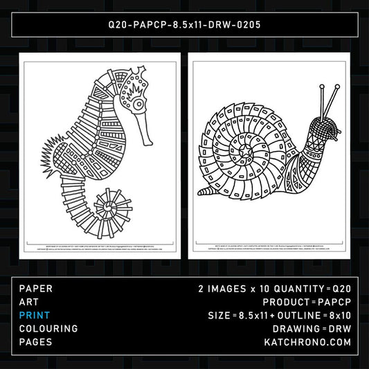 Q20-PAPCP-8.5x11-DRW-0205