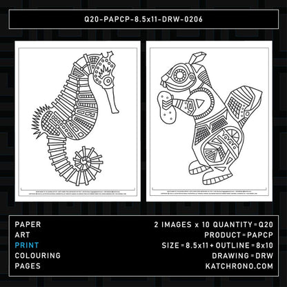 Q20-PAPCP-8.5x11-DRW-0206