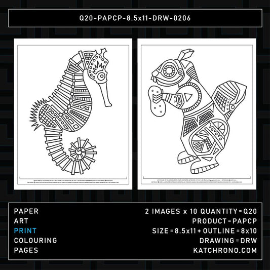 Q20-PAPCP-8.5x11-DRW-0206