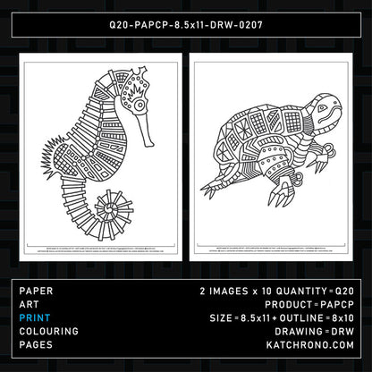 Q20-PAPCP-8.5x11-DRW-0207