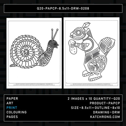 Q20-PAPCP-8.5x11-DRW-0208