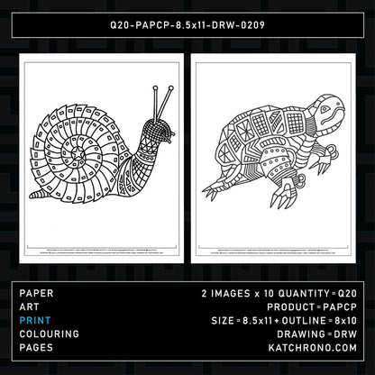 Q20-PAPCP-8.5x11-DRW-0209