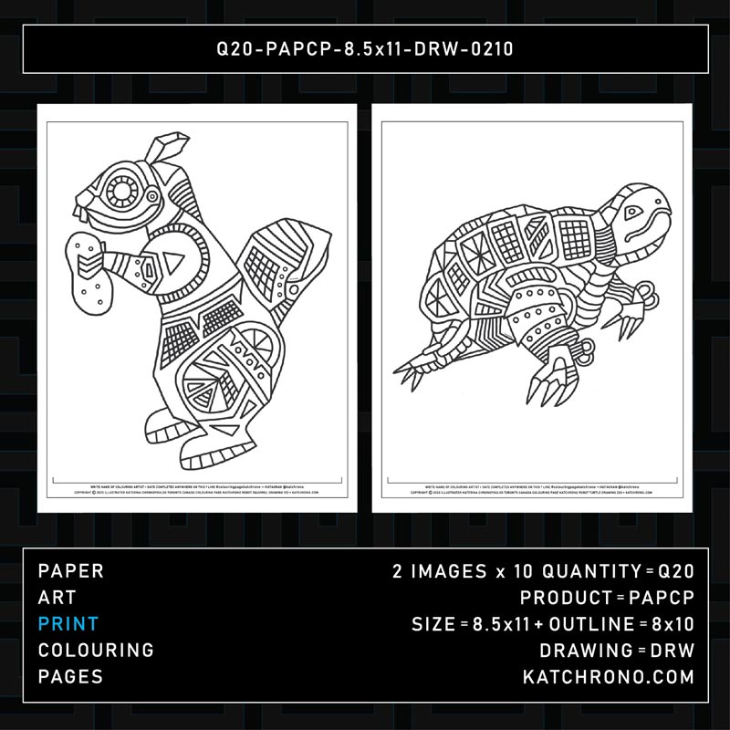 Q20-PAPCP-8.5x11-DRW-0210