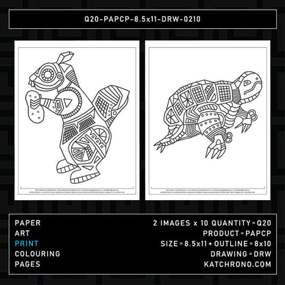 Q20-PAPCP-8.5x11-DRW-0210