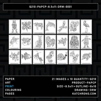 Q210-PAPCP-8.5x11-DRW-0001