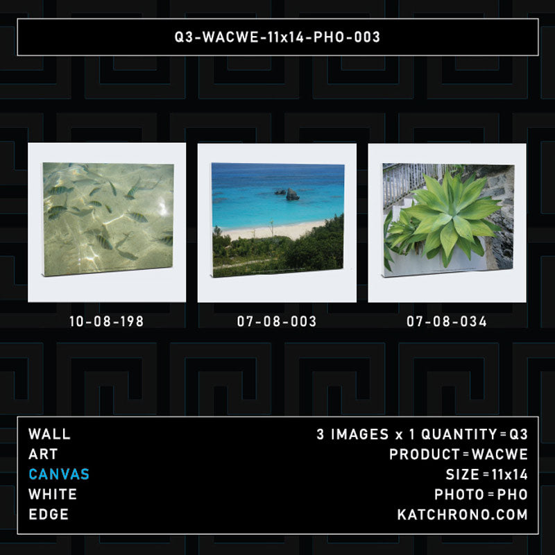 Q3-WACWE-11x14-PHO-003