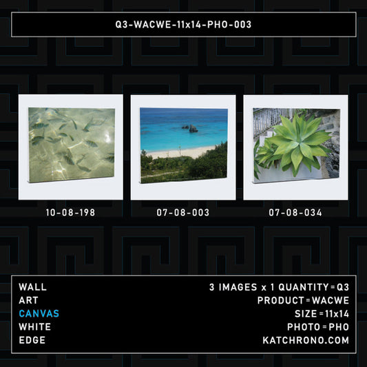 Q3-WACWE-11x14-PHO-003