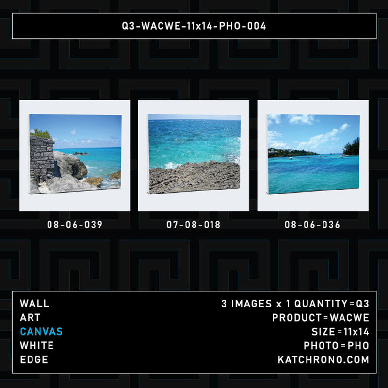 Q3-WACWE-11x14-PHO-004