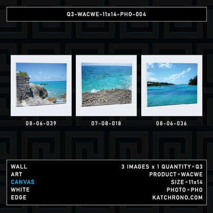 Q3-WACWE-11x14-PHO-004