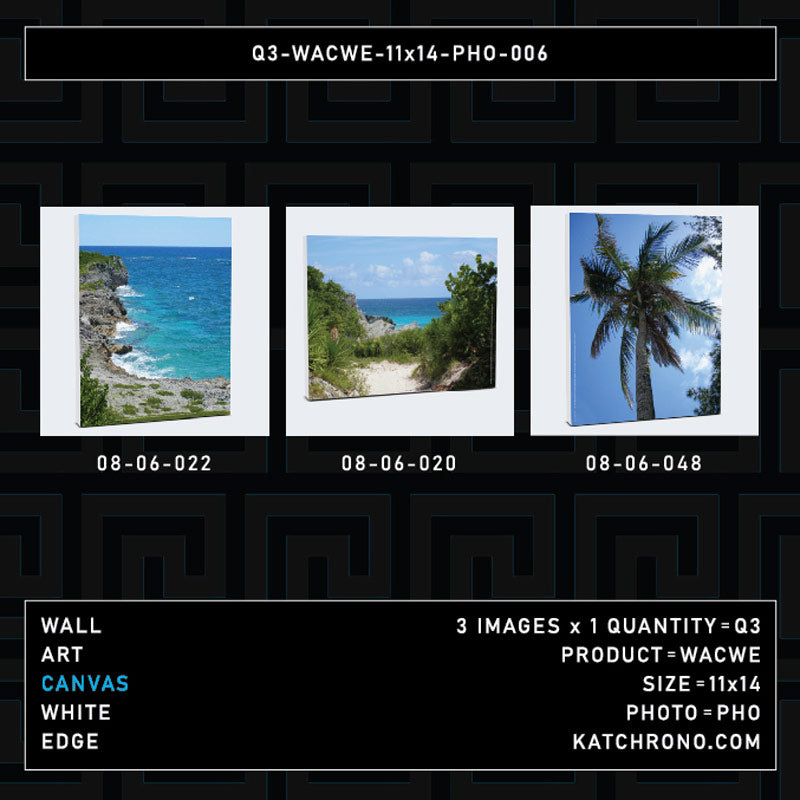Q3-WACWE-11x14-PHO-006
