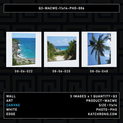 Q3-WACWE-11x14-PHO-006