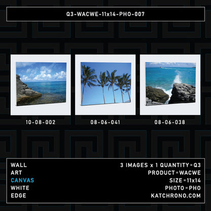 Q3-WACWE-11x14-PHO-007