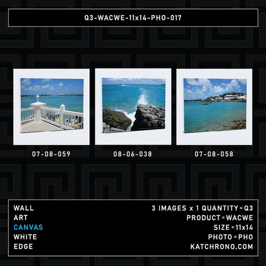 Q3-WACWE-11x14-PHO-017