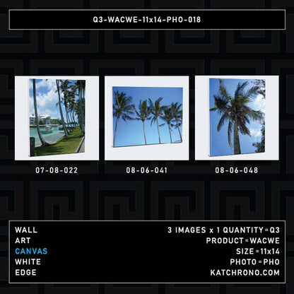 Q3-WACWE-11x14-PHO-018