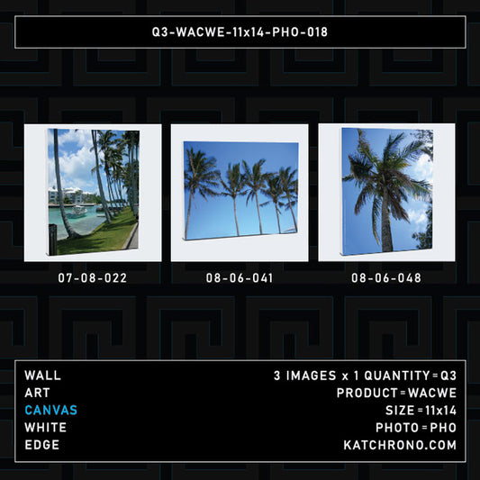 Q3-WACWE-11x14-PHO-018