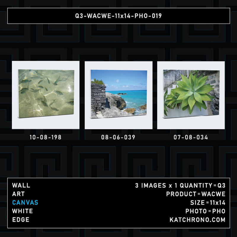 Q3-WACWE-11x14-PHO-019