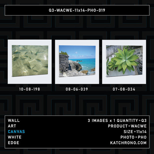 Q3-WACWE-11x14-PHO-019