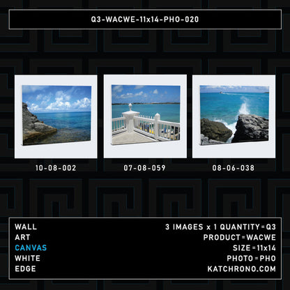 Q3-WACWE-11x14-PHO-020