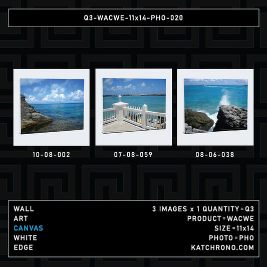 Q3-WACWE-11x14-PHO-020