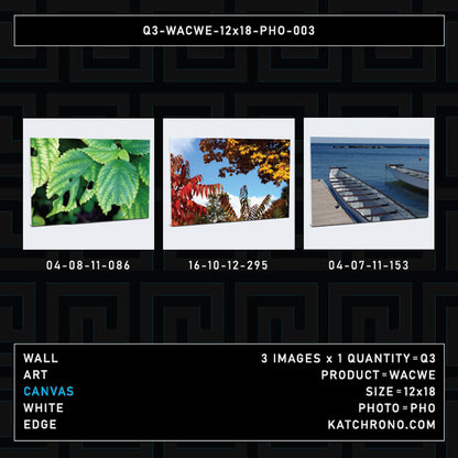 Q3-WACWE-12x18-PHO-003