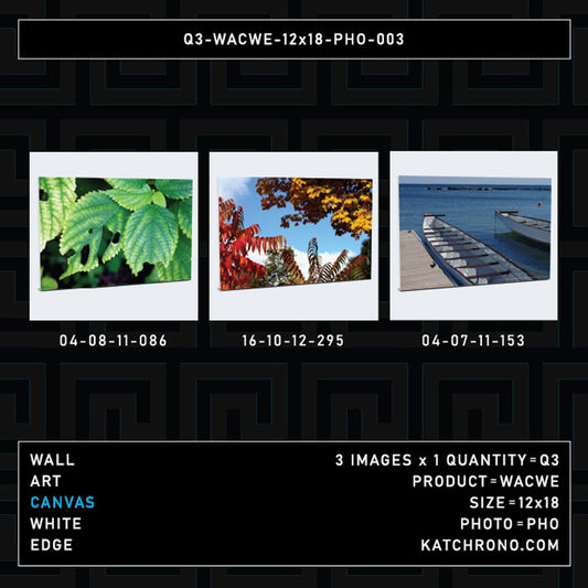 Q3-WACWE-12x18-PHO-003