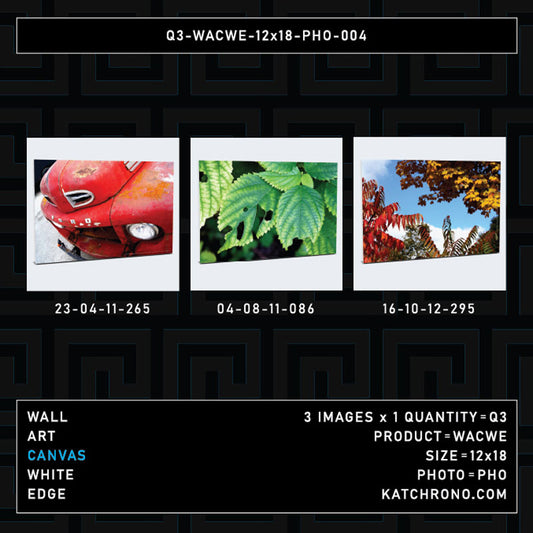 Q3-WACWE-12x18-PHO-004
