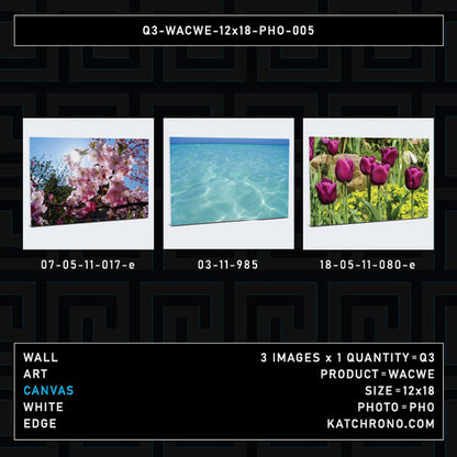 Q3-WACWE-12x18-PHO-005