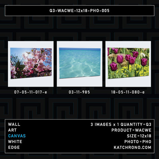 Q3-WACWE-12x18-PHO-005