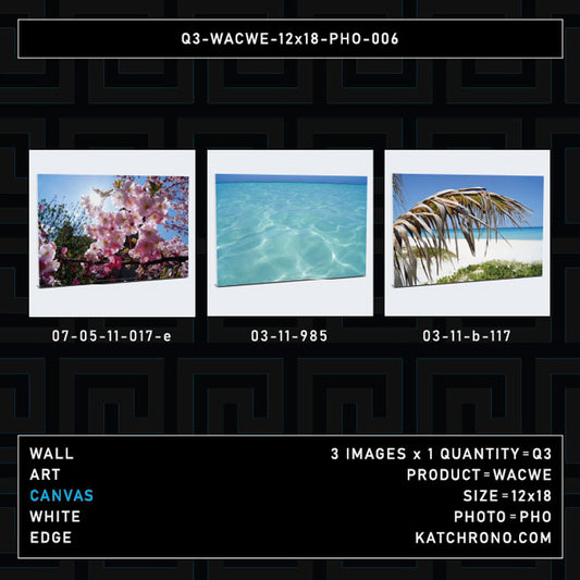 Q3-WACWE-12x18-PHO-006