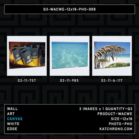 Q3-WACWE-12x18-PHO-008