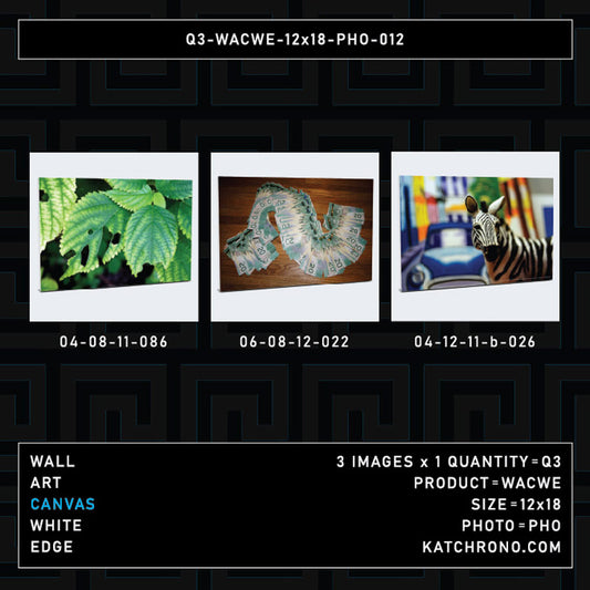 Q3-WACWE-12x18-PHO-012