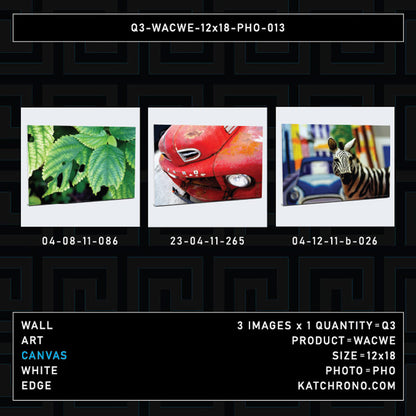 Q3-WACWE-12x18-PHO-013