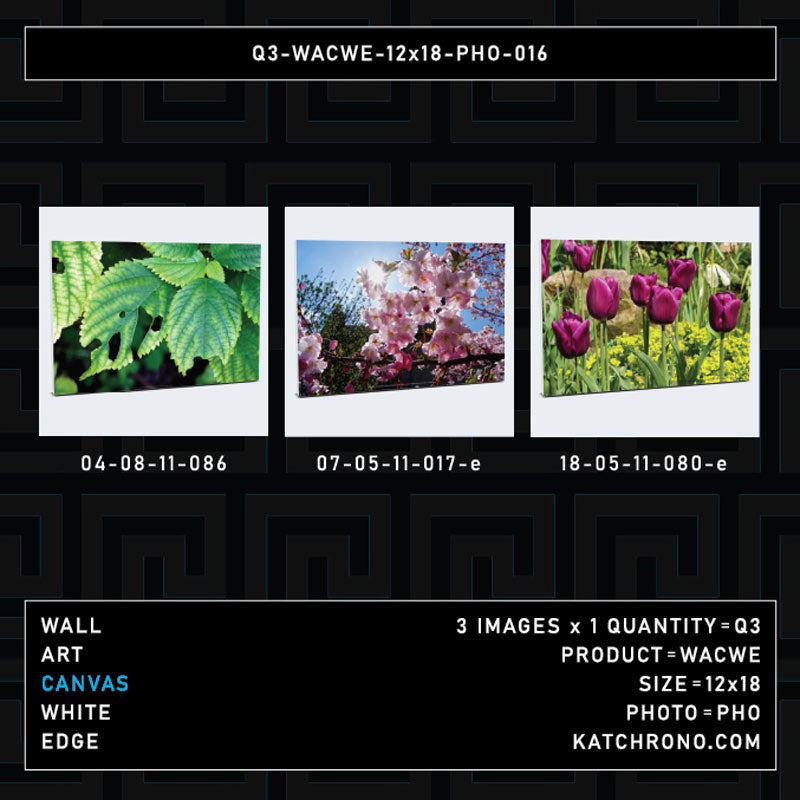 Q3-WACWE-12x18-PHO-016