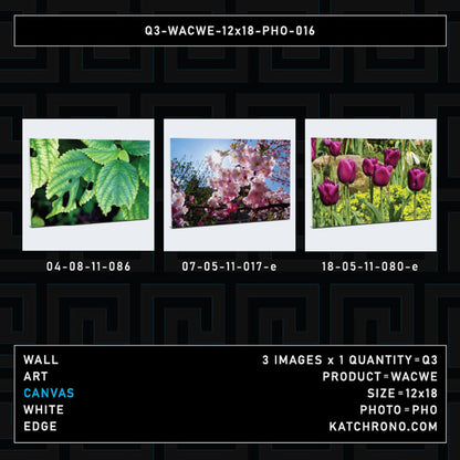 Q3-WACWE-12x18-PHO-016