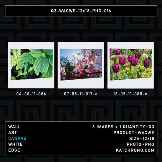 Q3-WACWE-12x18-PHO-016