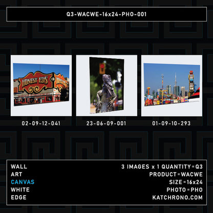 Q3-WACWE-16x24-PHO-001