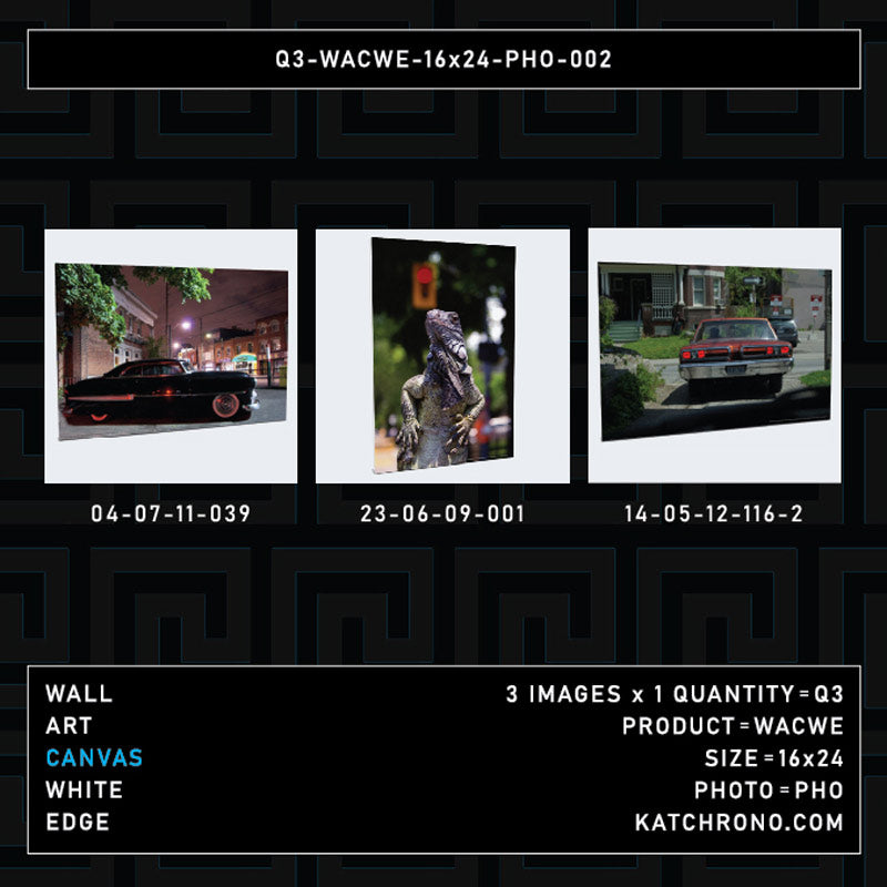 Q3-WACWE-16x24-PHO-002