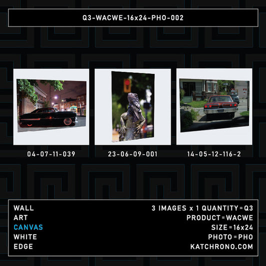 Q3-WACWE-16x24-PHO-002