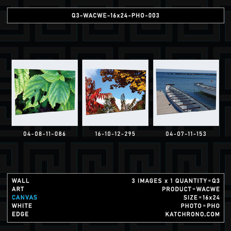 Q3-WACWE-16x24-PHO-003